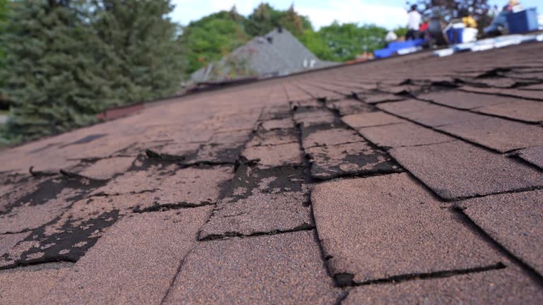 Best Roof Ventilation Installation  in University Of Lifornia Davis, CA