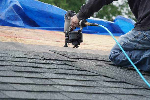Best Roof Insulation Installation  in University Of Lifornia Davis, CA